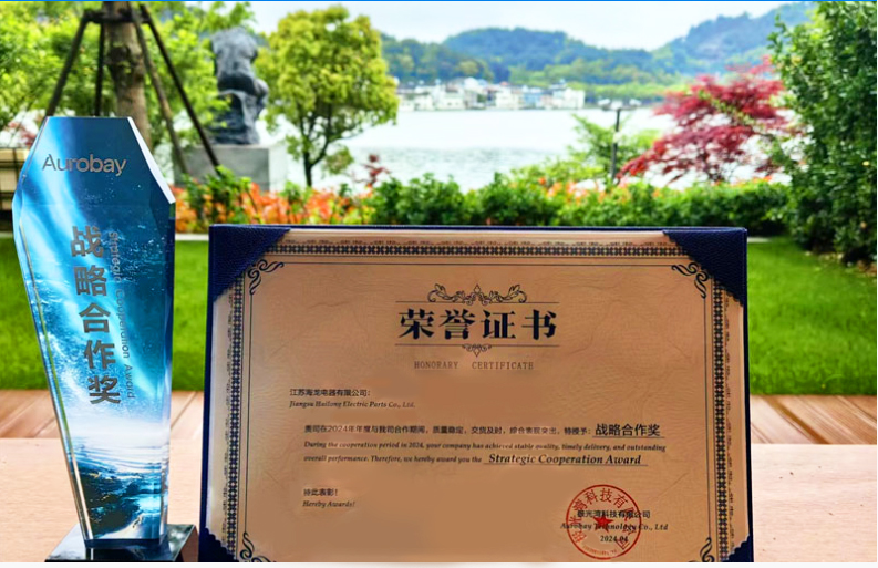   喜報：江蘇海龍榮獲吉利汽車2024年度供應商“戰略合作獎”？